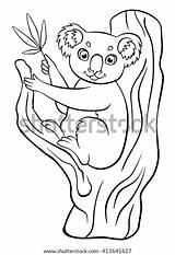 Coloring Pages Koala Animals Cute Little Vector Eucalyptus Sits Holds Tree sketch template