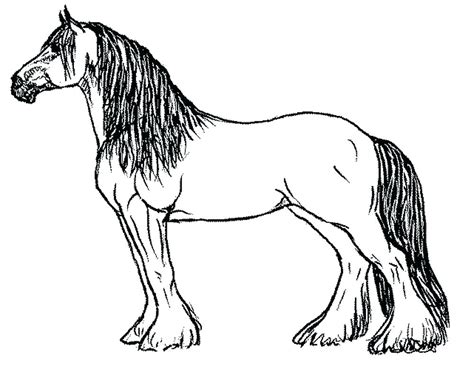 draft horse coloring pages  getdrawings