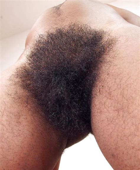 hairiest pussy ever 165289 all time great hairy pussy hair