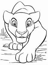 Pages Lion Coloring Printable King Getcolorings sketch template