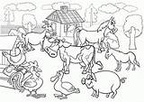Coloring Old Macdonald Farm Pages Had Popular sketch template