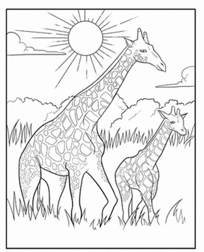 giraffe coloring pages  adults  getcoloringscom  printable