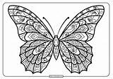 Papillon Motifs Jolis Gratuit Adulte sketch template