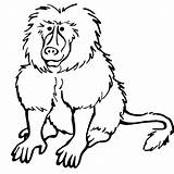 Baboon Monkey Scribblefun Baboons Dentistmitcham sketch template