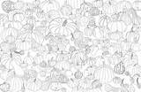 Pumpkins Gourds sketch template