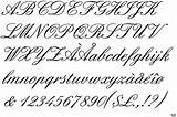 Spencerian Graficos Copperplate Calligraphie Handwriting Interesantes Curiosos Salpicando Datos Penmanship sketch template