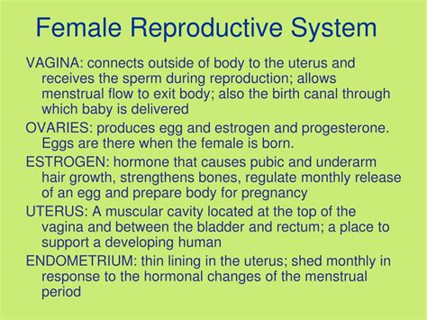 Ppt Unit 6 Sex Education Human Reproduction And Stds Powerpoint