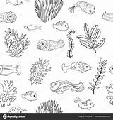Algen Ausmalen Unterwasserwelt Malvorlagen sketch template