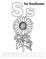 Sunflower Coloring Pages Preschool Worksheet Sheets Handwriting Practice Preschoolers Kids Cliparts Color Printable Sunflowers Colouring Bestcoloringpages Clipart Library Print Simple sketch template