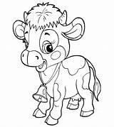 Cow Coloring Pages Printable Farm Animal Cows Kids Sheets Print Adult Momjunction Activity Books sketch template