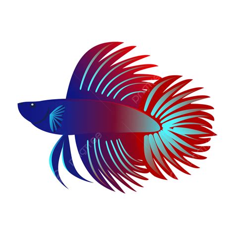 betta fish crowntail fish bettafish freshwaterfish png  vector