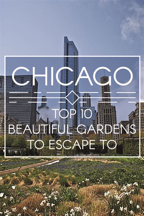 top  beautiful gardens  escape   chicago beautiful gardens practical travel chicago
