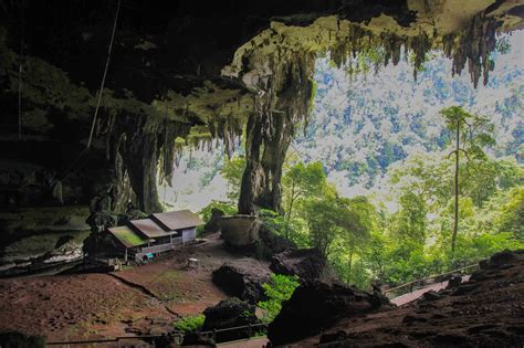 visting  niah caves  borneo borneo national parks scenic
