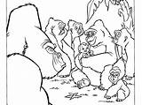 Gorilla Silverback Coloring Pages Getcolorings Printable Color sketch template