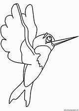 Colibri Hummingbird Kolibri Animals Vert Printable Ausmalbilder Burung Hummingbirds Colibris Zwierzęta Aves Mewarna Kertas Cat26 Ptaki Coloringpagebook Pajaros Verlo Haga sketch template