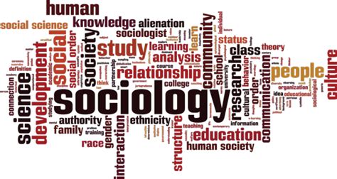 sociology definition sociology definition explanation