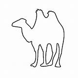 Camel Outline Fun Coloring sketch template