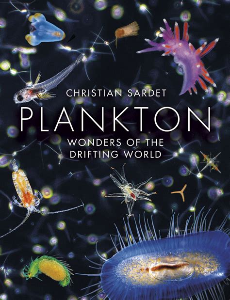 gorgeous  mysterious world  plankton wired