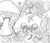 Pages Mushrooms Getdrawings Psychedelic Trippy Setas Hongos Pintar Sheets Laminas Magic Psicodélicos Imgarcade Mandala sketch template