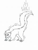 Skunk Animal Fur Gaddynippercrayons sketch template