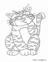 Cat Fat Coloring Pages Big Worksheet Color Hellokids Chats Lipid Print Animal Worksheeto sketch template