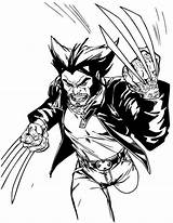 Wolverine Colorir Imprimir Adults Source sketch template