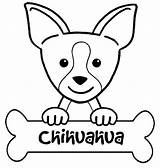 Chihuahua Chihuahuas Imprimir Chiwawa Puppy Kleurplaat Getdrawings sketch template