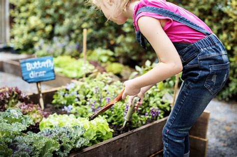 plants  grow  kids kids gardening guide install  direct
