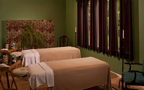 spas  michigan massage pedicures facials