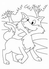 Fox Coloring Pages Books Momjunction sketch template