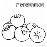 Coloring Persimmon sketch template