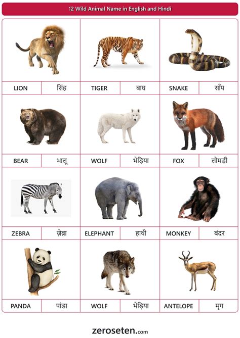 wild animal names  hindi  english  se ten blog