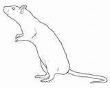 Rat Drawing Scary Lineart Rats Line Drawings Deviantart Paintingvalley Patterns sketch template