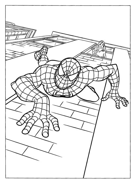 coloring page spiderman  coloring pages