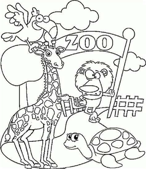 pages zoo animals coloring book etsy