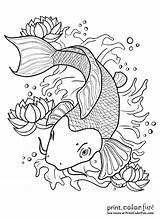 Fish Koi Pond Outline Coloring Drawing Pages Color Japanese Water Print Colors Getdrawings Book Drawings Printcolorfun Birthday Paintingvalley sketch template