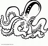 Coloring Pages Octopus Printable Color Animal Kids Clipart Print Sheet sketch template