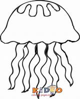 Coloring Pages Jellyfish Kids sketch template