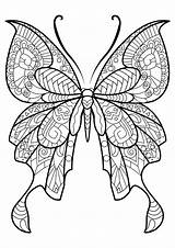 Butterfly Abstract Justcolor sketch template