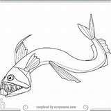 Coloring Viperfish Fish Pages Viper Designlooter 19kb 268px sketch template