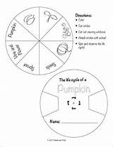 Pumpkin Cycle Life Activities Subject sketch template