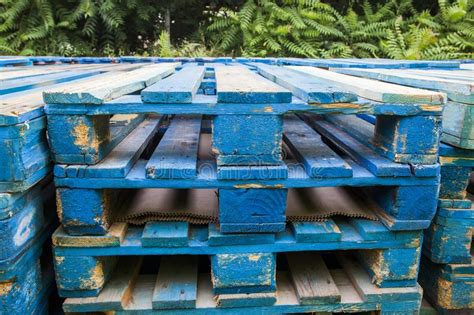 blue wooden pallets stock image image  building delivery