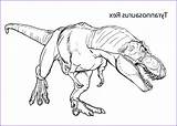 Dinosaur Coloring Pages Realistic Printable Rex Choose Board sketch template