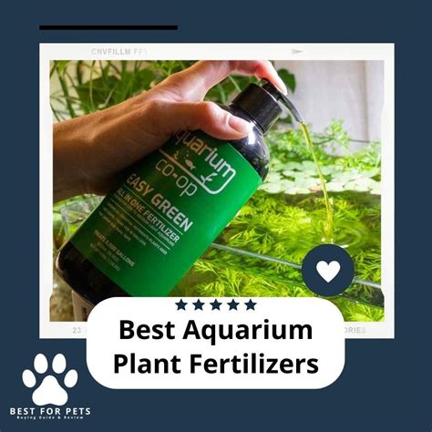 aquarium plant fertilizers bestforpetsorg