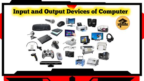 input device  output devices studymuch