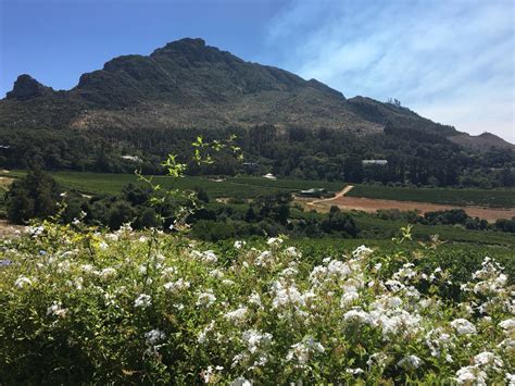 constantia glen wine estate cape town south africa travel travel south beautiful places