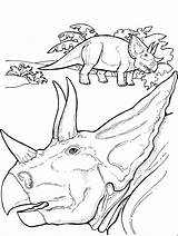 Protoceratops Dinosaurios Dinosaurio Glotón Sfatulmamicilor sketch template