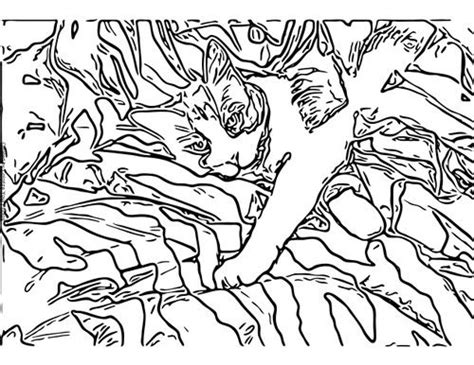 sock monkey coloring pages printable  cat art coloring pages