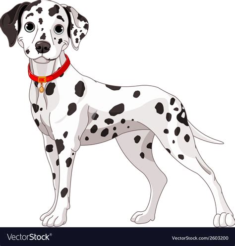 cute dalmatian dog royalty  vector image vectorstock