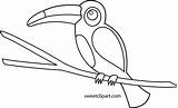 Toucan Coloring Clip Cute Pages Sweetclipart Template sketch template